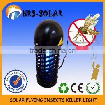 rc flying insects