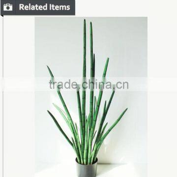 Manufacturing maguey garden decoration indoor decoration handmade plant for sale