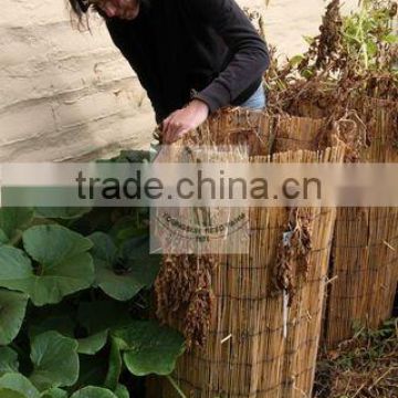 reed fence