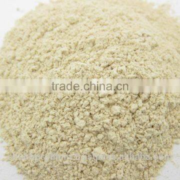 Garlic Powder