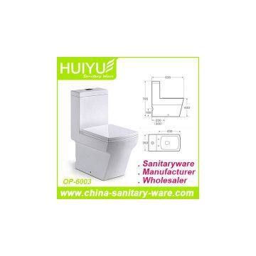 Ceramic One-Piece Washdown S-Trap Sanitary Ware