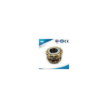 High performance cylindrical roller bearing overall eccentric bearings