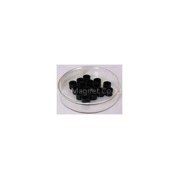 Powerful Donut Shaped Bonded NdFeB Magnets for cellular phones BNP-2 , BNP-4 , BNP-6