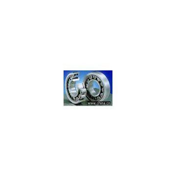 Cylindrical Roller bearing