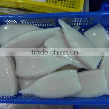 Hot sale Frozen squid tube Medical treated