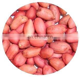 Blanched Peanuts 25/29 29/33 35/39 36/41 41/51 51/61 photo-4