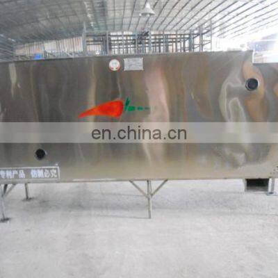 Top Quality Teja Chili Stem Cutting Plant photo-5
