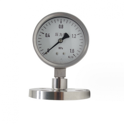 Stainless steel diaphragm pressure gauge with shock resistant flange DN25 pressure gauge