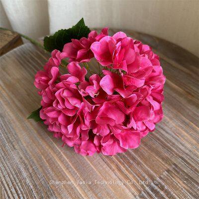 Factory Direct Private Label Hydrangea Flowers - Custom Branding Hydrangea Flowers, Distributor Hydrangea Flowers