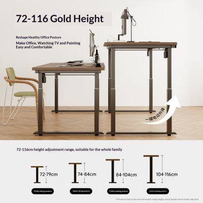 Electric Height Adjustable Office Corner Computer Standing Desk photo-3