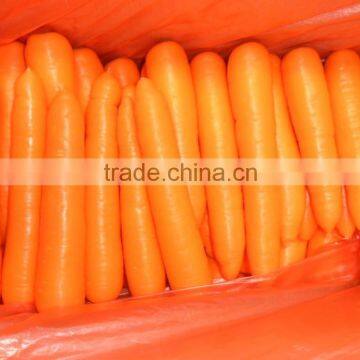 Good Quality New Crop Carrot