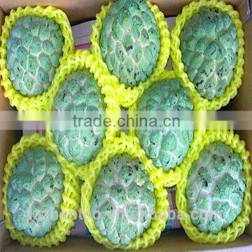 Provide Free Samples of High Quality Fruit Net photo-3