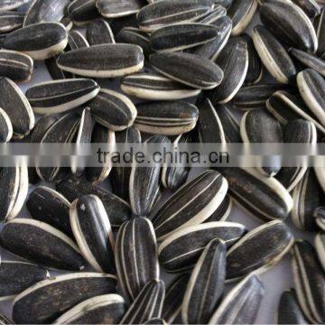 Export sunflower seeds organic sunflower seeds black sunflower seeds