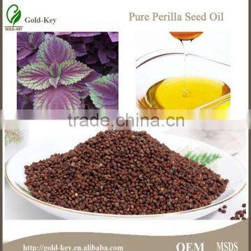 Top Quality 100% Natural Purple Perilla Seed Oil from China