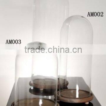 Shop Display Glass Bell Jar With Wooden Base