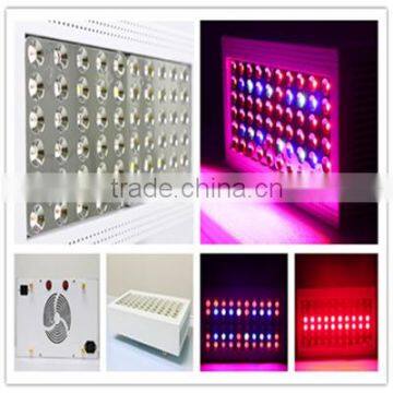 Hot selling high power 300W COB led grow light