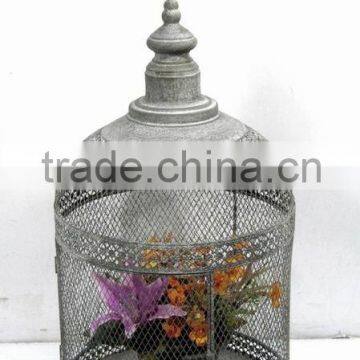 090248F-round metal wire cage plant holder