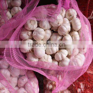 garlic price