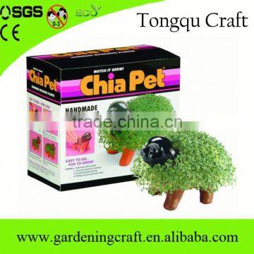 Return Gifts for Birthday Chia Pet Diwali Gifts Baby Shower Gifts photo-6