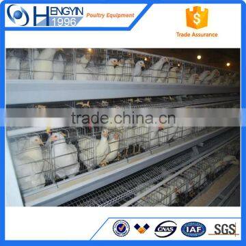 Popular Selling Layer Cage Chicken Cage Layer Cages for Sale photo-3