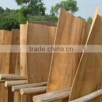 Core veneer from Vietnam