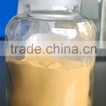 GMP Manufacture Supply Top Quality Green Tea Extract 70% Tea Polyphenol for Capsule photo-4