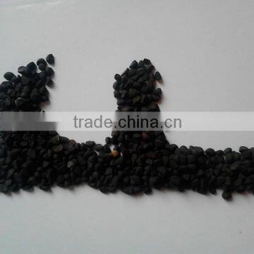 medicine herbs seeds dry seeds morning glory seeds