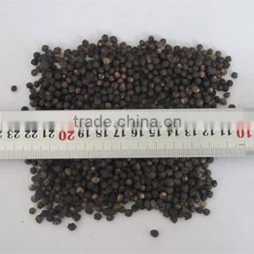 Malabar Spinach Seeds Vegetable Seeds for Planting photo-3