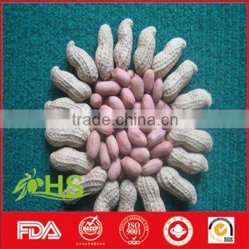 China Red Skin Peanut Kernel 80/100