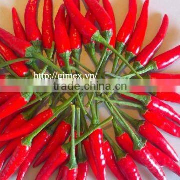 HOT PEPPER, CHILLI +84963818434 whatsapp