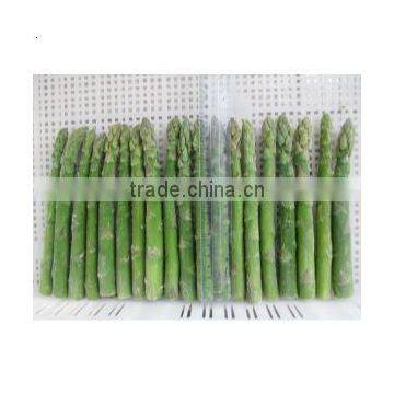 supply good frozen green asparagus