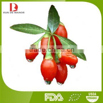 2015 new harvest Chinese high quality organic Chinese wolfberry/dried goji berries