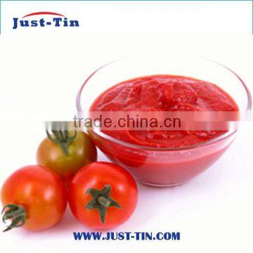 Tomato Sauce Cheap Manufacturer Price Canned Tomato Paste photo-4