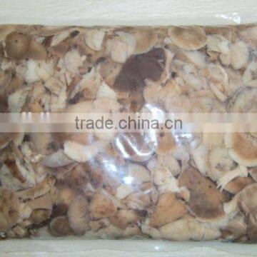 mushroom pickled 50kg drum buy high quality of salted naratake mushroom salted naratake