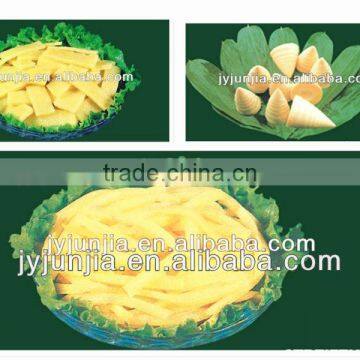 Canned Bamboo Shoots-A10 photo-5
