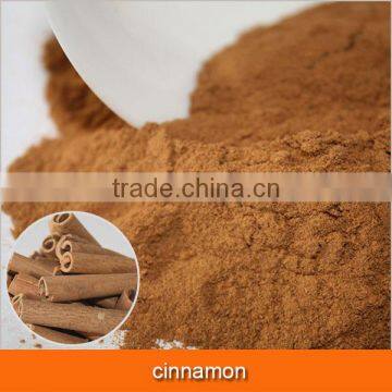 cinnamon powder