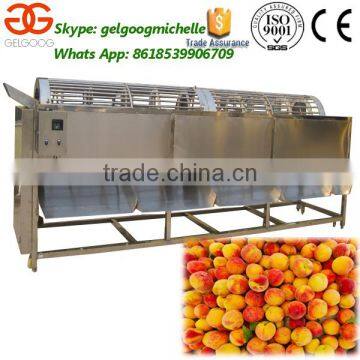 304 Stainless Steel Potato Tomato Sorting Machine/Calibrator Machine