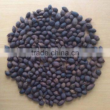 VIETNAM BLACK CARDAMON (+841657106604 - WHATSAPP)