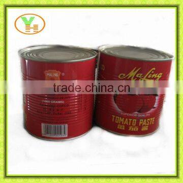 70-4500g canned tomato brands famous sold in dubai