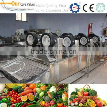 High quality fruit and vegetable dehydrator 0086-15037185761