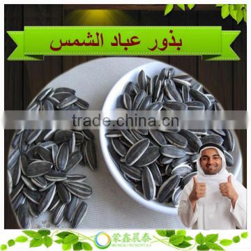 New Crop China Raw Sunflower Seeds In Shell