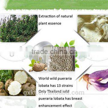 Herbal Breast Enlargement Medicine Pueraria Mirifica Breast Enlargement Pills photo-3