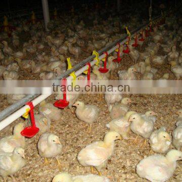 Stainless Core Plastic Shell Nipple Chicken Poultry Drinking System