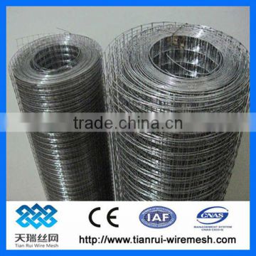 galvanized wire mesh screen (factory)