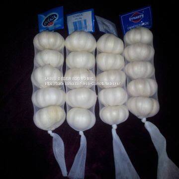 Fresh garlic