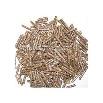 Sell Like Hot Cakes Feed Pellet Machine ZLHM250 photo-3