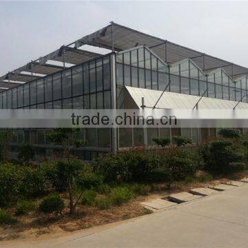 Light Steel Structure Multi Span Glass Greenhouse for Modern Agriculture photo-3