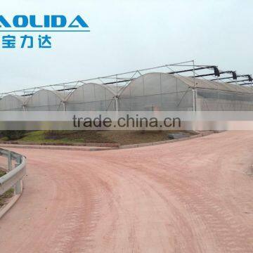 Hot Sale Galvanized Pipe With Plastic Film Greenhouse for Crops or Commercial Use photo-3