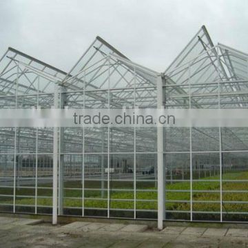 Modern apperance Hot Dip Galvanized Steel Structure Glass Covering Greenhouse