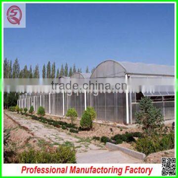China Multi/single Span Plastic Film Greenhouse Agriculture for Sale photo-2